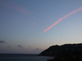 IMG_1229