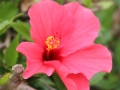 IMG_7658.jpg