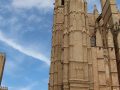 IMG_2332-scaled